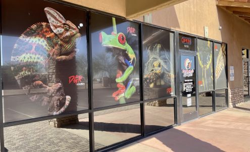 Desert Grown Reptiles & Exotics