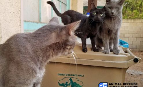 Animal Defense League of Arizona