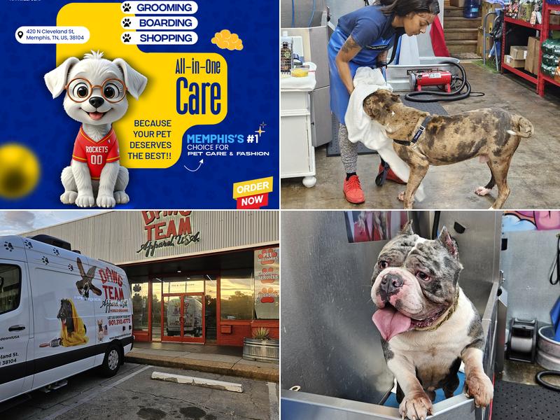 Dawg Team Apparel USA