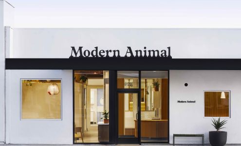 Modern Animal