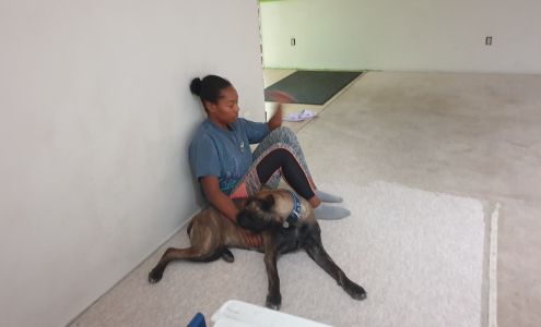 Uncle Mattys Dog Training