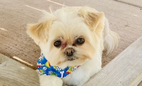 Groom Room 2235 S Melrose Dr #111, Vista California 92081