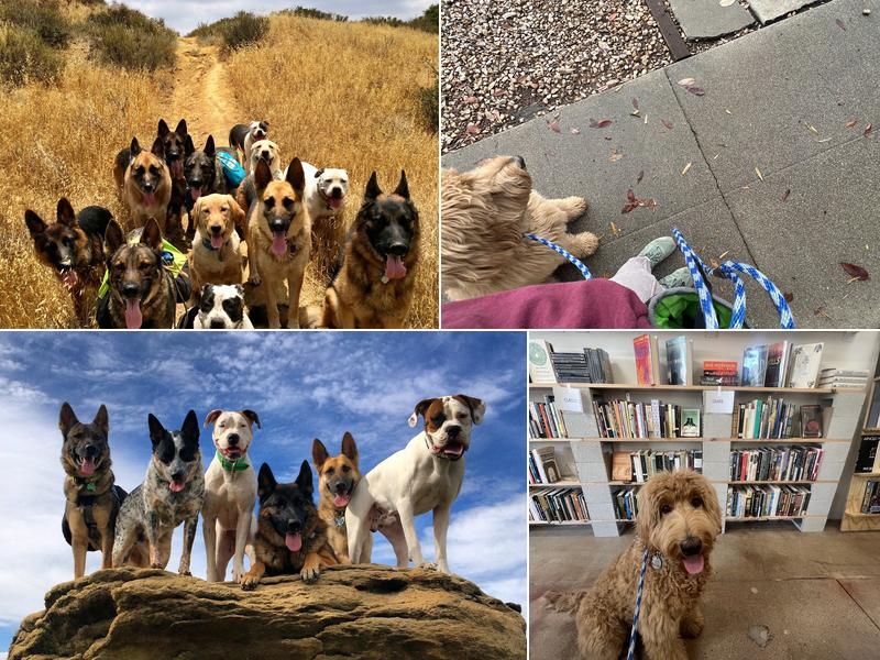 Pet Peeves Training, LLC