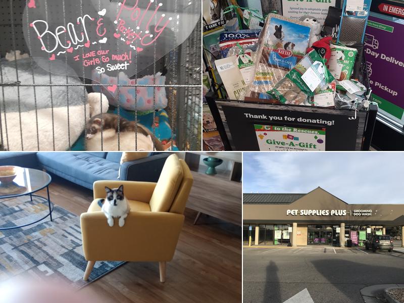 Pet Supplies Plus Wheat Ridge