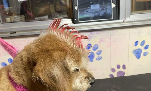 Elizabeth’s grooming