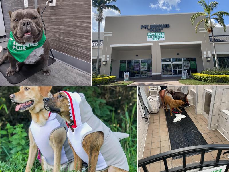Pet Supplies Plus Royal Palm