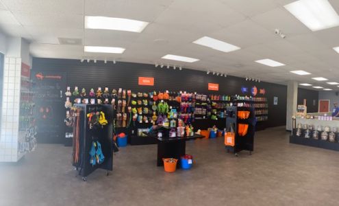 Zoom Room Dog Training