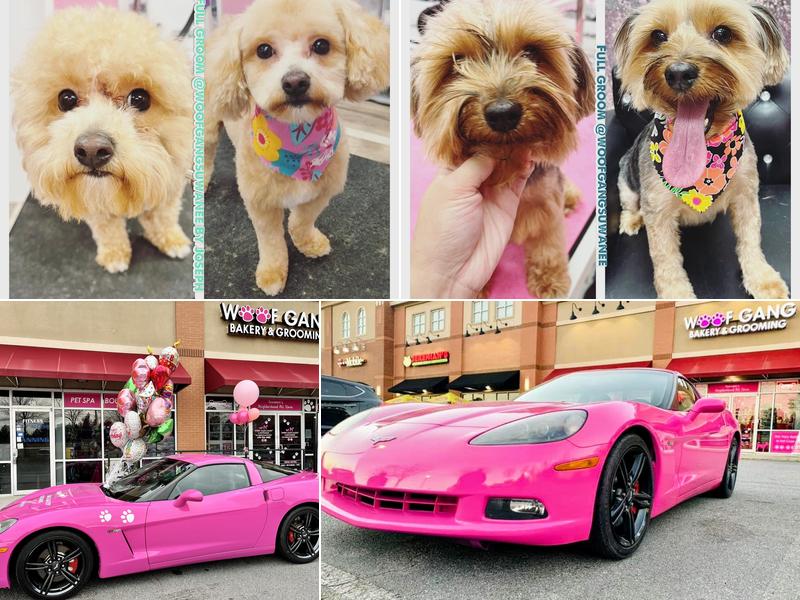 Woof Gang Bakery & Grooming Suwanee