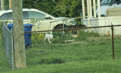 Marion Animal Control