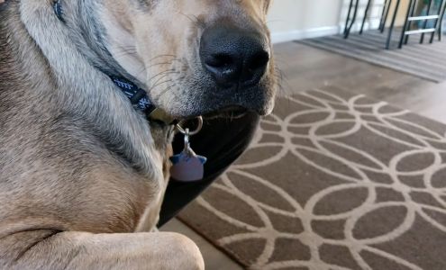 Happy Tails Humane Society