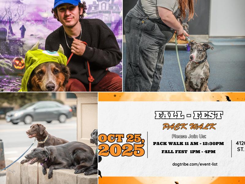 Found Chicago Boarding & Training Center