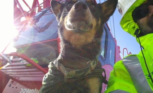 Finney County Humane Society