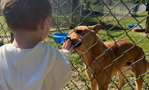 Leitchfield Animal Shelter