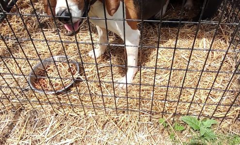 Kentucky River Animal Shelter