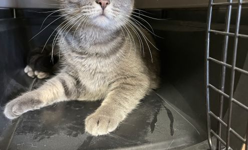 Central Aroostook Humane Society