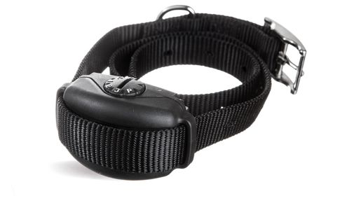 DogWatch Southeastern Michigan | Hidden Pet Fences