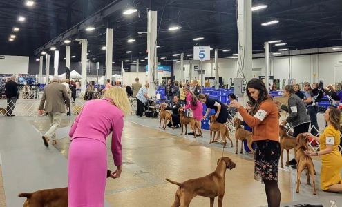 Whitman Sharpening and Repair Farwell