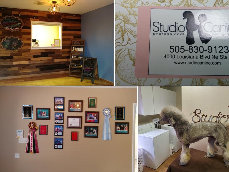 Studio Canine