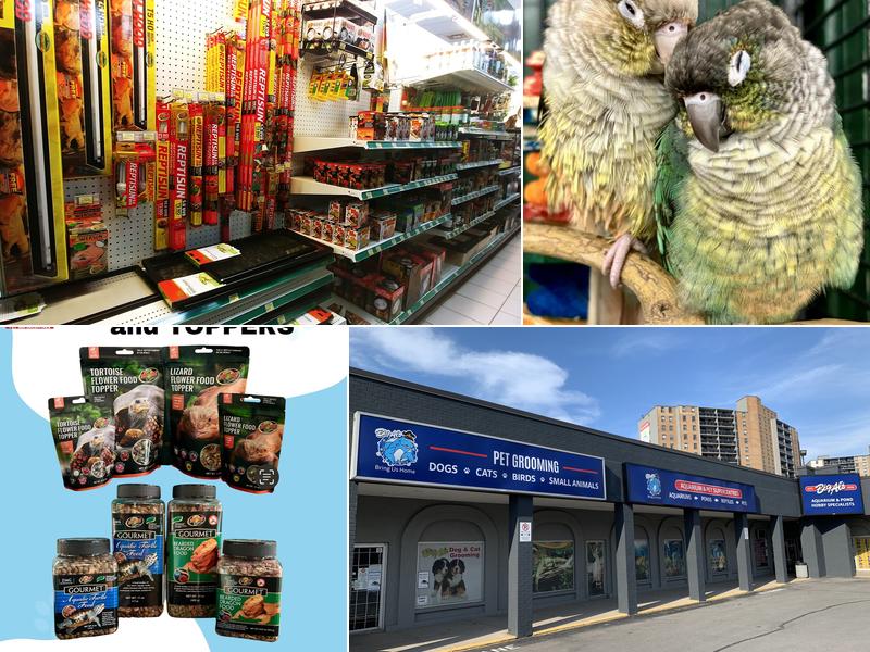 Big Al's Pet Supercentres