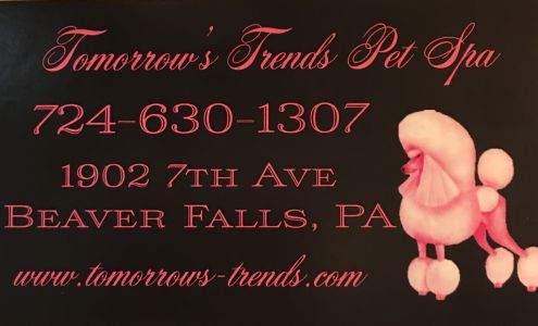 Tomorrow's Trends Pet Spa