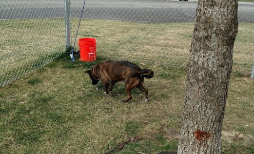 Blue Mountain Humane Society