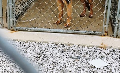 Coffee County Animal Control