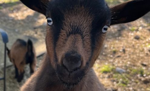 New Berlin Farm & Feed