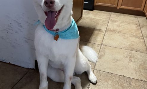 Y'alls Paws Holistic 4619 S Farm-to-Market 565 Rd A, Cove Texas 77523