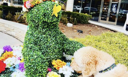 Barkin' Creek Dog Kitchen & Bath - Domain NORTHSIDE