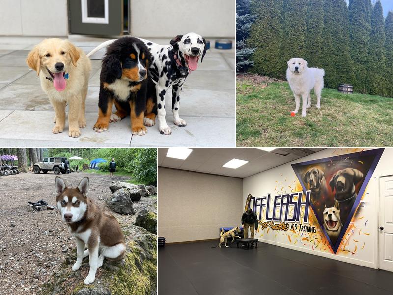 Off Leash K9 Training, LLC