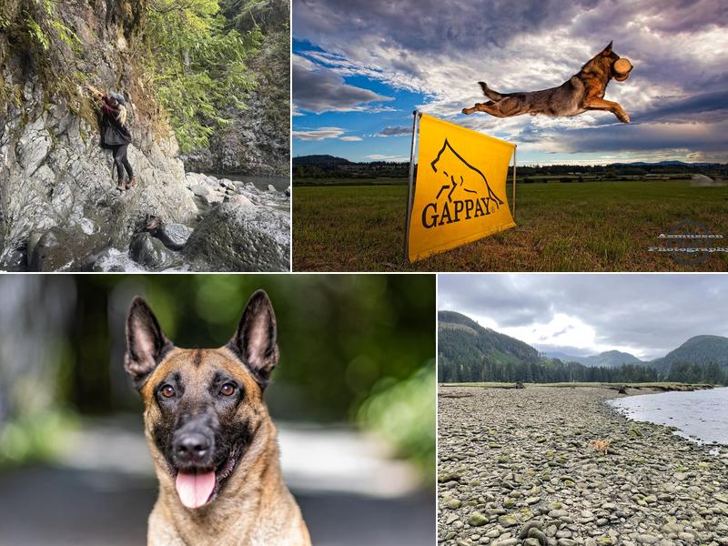 The Naughty Dogge, Monique Anstee