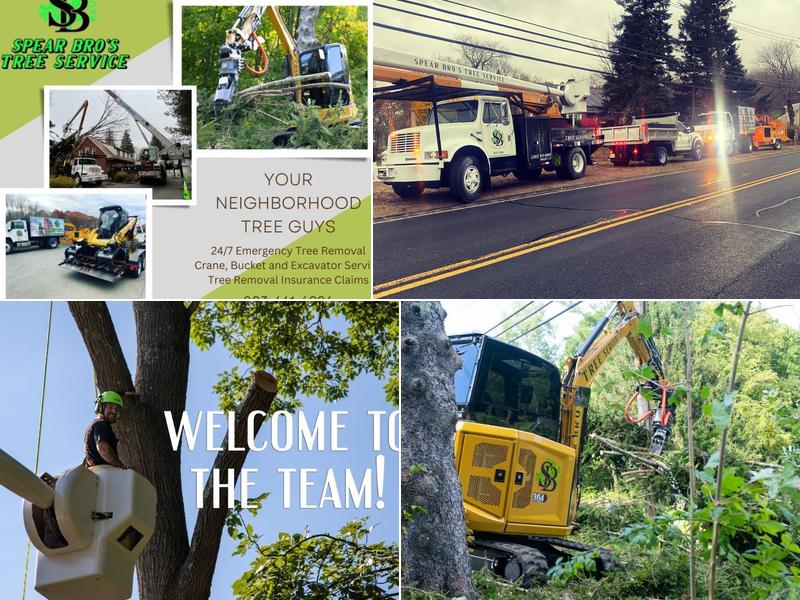 Spear Bro’s Tree Service