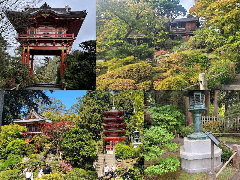Japanese Tea Garden 75 Hagiwara Tea Garden Dr, San Francisco