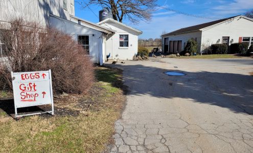 Country Crafts East Earl