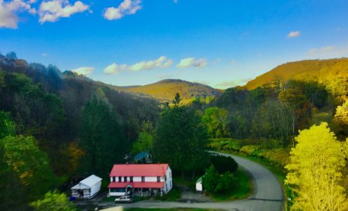 Lori's Landscape & Perennials