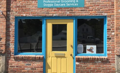 All 4 Paws 334 Pleasant St, Bennington Vermont 05201