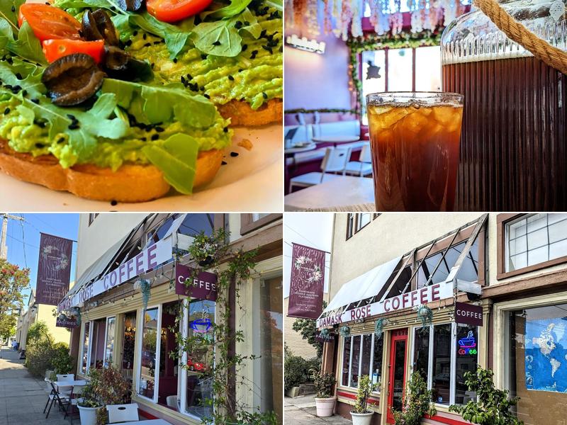 Damask Rose 6606 Shattuck Ave., Oakland