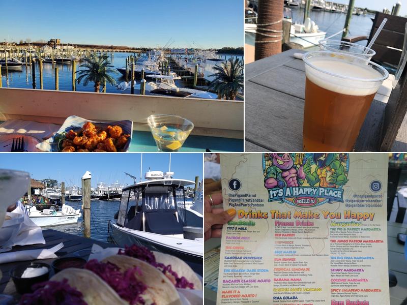 Pig and Parrot Party Pontoon