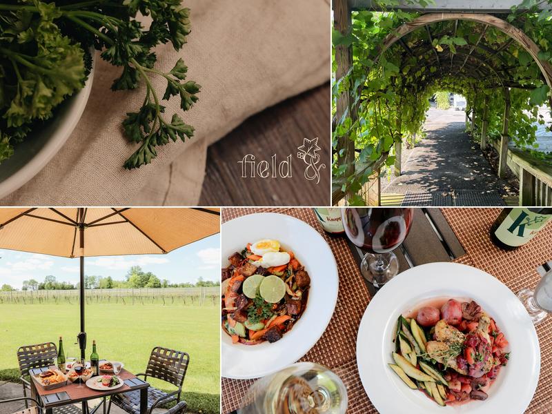 Field & Vine