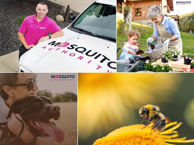 Mosquito Authority of Hickory