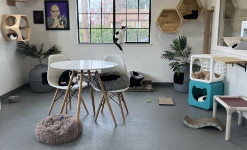 ASTRO Foundation Inc.