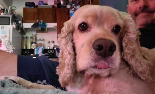 Lowndes County Animal Shelter