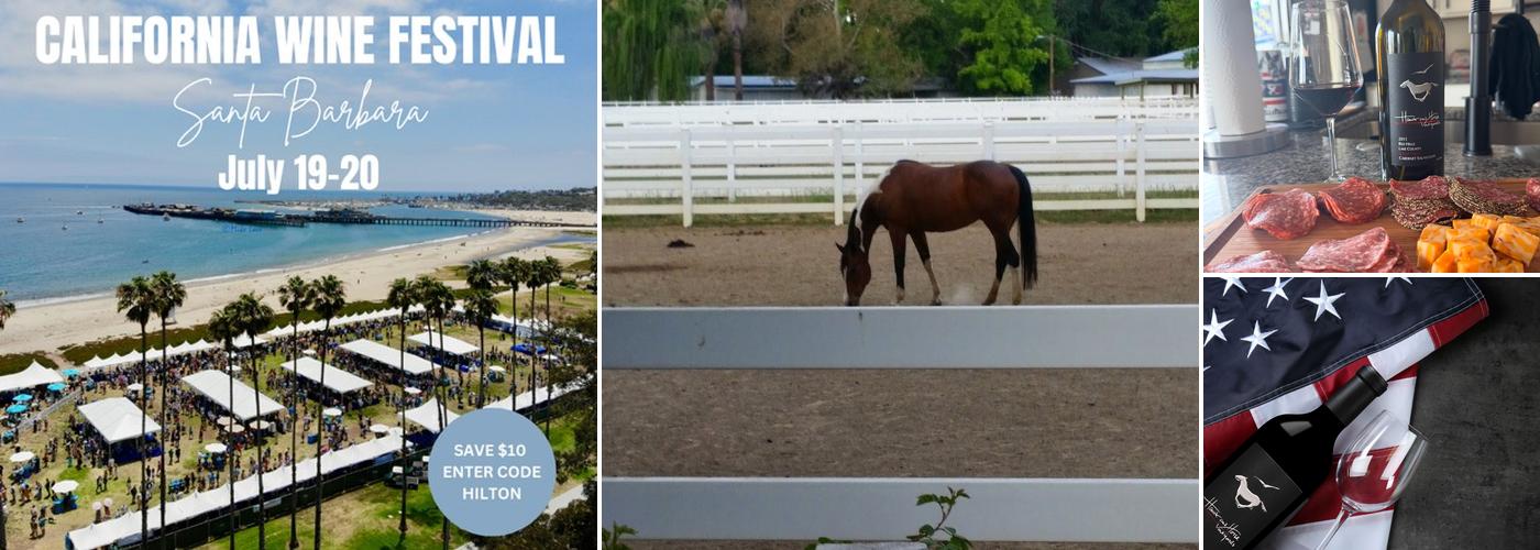 Hawk and Horse Vineyards