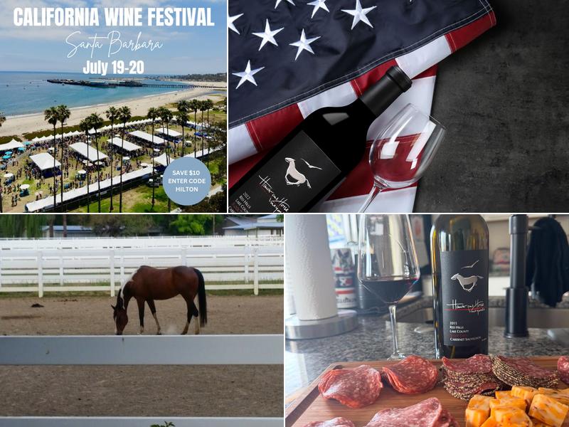 Hawk and Horse Vineyards