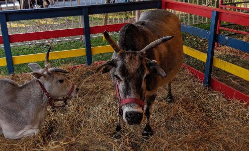 Orange County Fair Concession