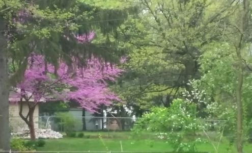 Wolverine heating and cooling