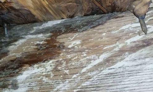 Thomas Roofing & Supply Inc