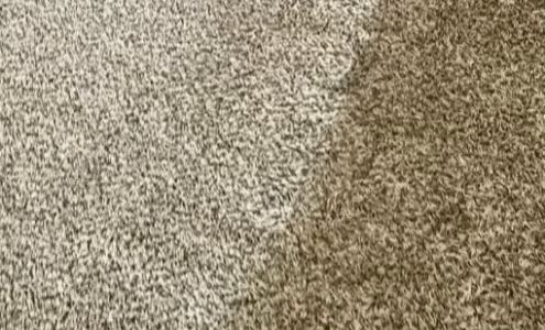 Coastal Carpet Care