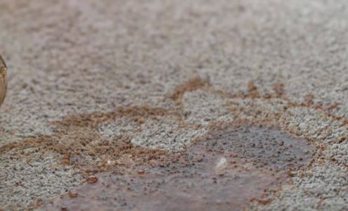 Premier Carpet Cleaning 4865 E Indian Dr, Flagstaff Arizona 86004