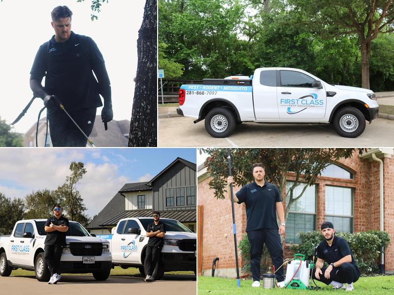 Pest Control | First Class Pest Solutions